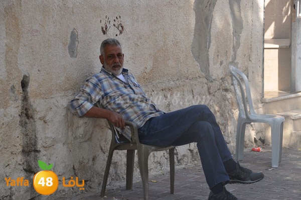 trees lud 1112 (14).JPG